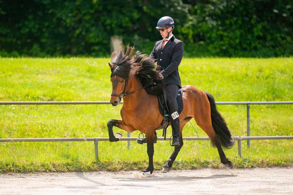 A2_03560_krijnde