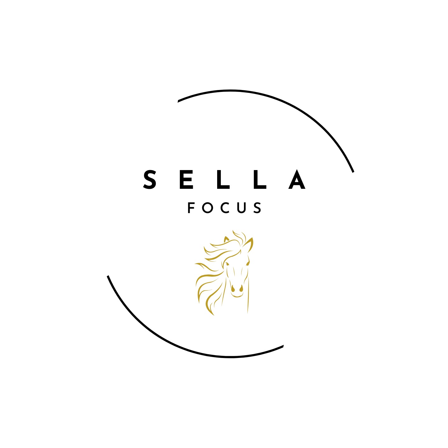 Sella-Focus